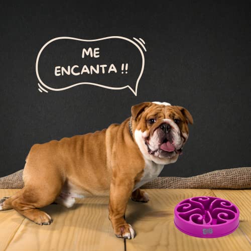 NICE PAWS Ciotola anti ingozzamento cani grandi