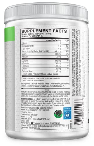 Xtend Original Bcaa Powder Smash Apple | Sugar Free Post Workout Muscle Recovery Drink With Amino Acids | 7G Bcaas For Men & Women | 30 Servings #TOP1