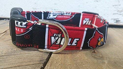 buddy dog collar amazon