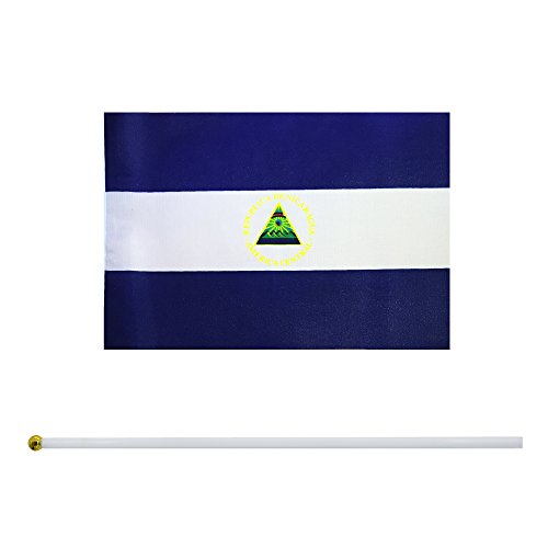 Pacote com 25 bandeiras de mão Little Girl