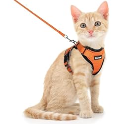 Dooradar Cat Harness and Leash Set, Adjustable and Escape Proof, Xs | Easy Fit, Snap Buckles, Soft Breathable Vest, Sturdy Clip, Reflective Strips, for Small & Average Cat Walks, Orange