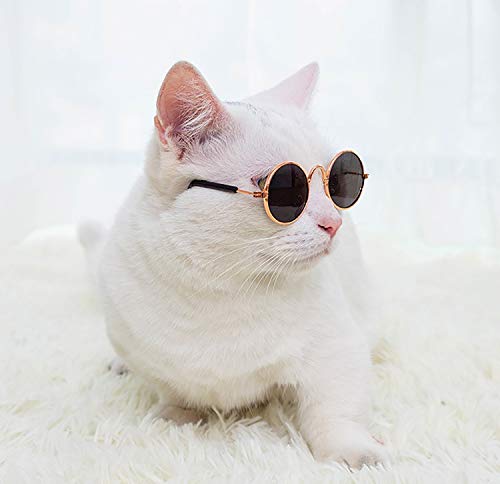 最安値 Hippo Jp 猫メガネ 猫眼鏡 ねこサングラス ネコ眼鏡 ファッションペット用サングラス 日焼け対策 子犬適用 ペット飾り 写真用 アクセサリー 透明金色 の価格比較 最安値 Hippo Jp 猫メガネ 猫眼鏡 ねこサングラス ネコ眼鏡 ファッションペット用サングラス 日焼け対策 子犬適用 ペット飾り 写真用 アクセサリー 透明金色 の価格比較