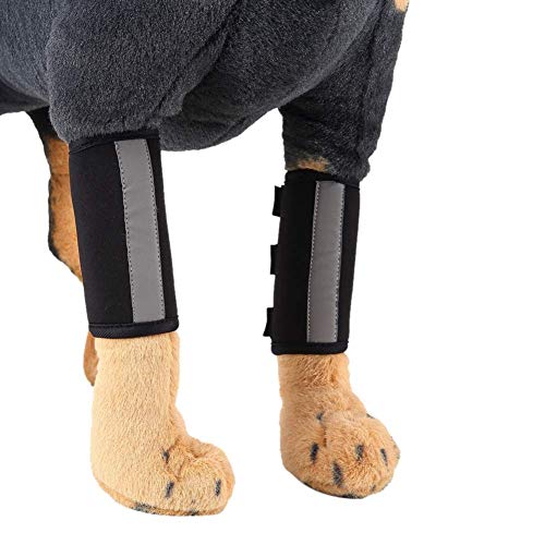 Image of 1 Pair Reflective Tape Elbow Protectors, Dog Front Leg Braces Pet Knee Pads Dog Elbow Protector Help with Injuries Sprains and Loss of Stability Caused by Arthritis(M, Black)