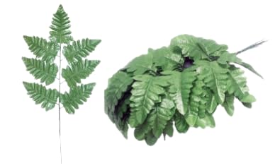 Artificial Silk 18 Inch Leather Leaf Fern Greenery Florist Quality 7 Leaves per stem 6 Bunches totals 504 Leaves (6 Bunches of 12 Stems 72 Stems)