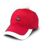 Mehrzweck: Weihnachten Home Decor, Weihnachten Holiday Party Dekorationen, Dekorieren Sie Ihr Büro, Weihnachtsbaum, Kamin und sogar Tische, etc. Die perfekte Wahl für Weihnachtsgeschenke.