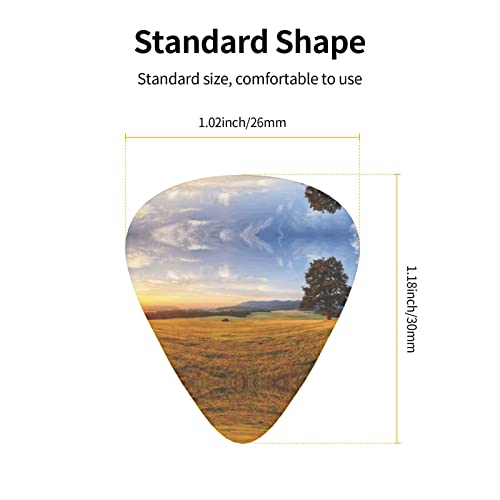 Ensemble de 12 médiators de guitare paysage d’herbe dorée d’automne pour guitare acoustique, guitare électrique… - Les Beatles, Paul McCartney, John Lennon, RIngo Starr, George Harrison Ensemble de 12 médiators de guitare paysage d'herbe dorée d'automne pour guitare acoustique, guitare électrique… – Image 5