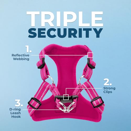 Image of Best Pet Supplies Voyager Adjustable Step-in Flex Breathable Mesh Dog Harness for Small Medium Large Dogs (Fuchsia), L