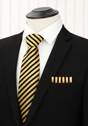 Image of HISDERN Mens Ties and Pocket Square Set Business Elegant Ties for Men Classic Lot 3 Pcs Wedding Party Neckties & Handkerchief