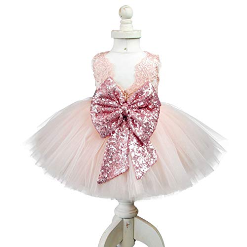 EsTong Newborn Baby Girls Sequins Bowknot Floral Princess Dresses Tulle Tutu Outfit Clothes Pink 1-2Y