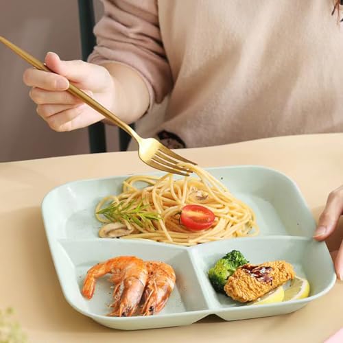 Pupopik 10 INCH PORTION CONTROL DIVIDED PLATES For Healthy Eating, 4Pcs Unbreakable Wheat Straw Dinner Plate Bpa Free, Plates For Kids Adults Picnic,Reusable Plates  thumb #6