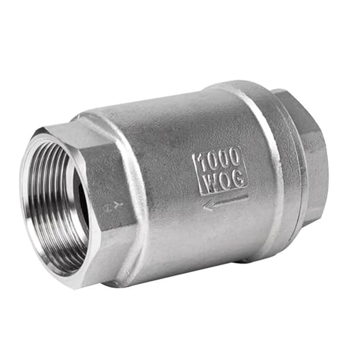 Pompe à eau sans désamorçage grâce au clapet anti-retour vertical inox