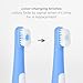 Ubbi Grow with Me Toothbrush Training Set for Babies and Toddlers, Includes Silicone Finger Brush, 360° and Soft Bristled Toothbrush, Polaris Blue