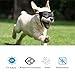 Voarge Sonnenbrille für Hunde UV Schutzbrille, Sonnenbrille mit Einstellbar Gummiband, Winddichte Hunde Motorradbrille, Schwarz, M