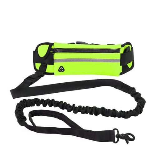 GNHG Guinzaglio per Cani Elastico con Cintura Regolabile – Cintura da Jogging con Guinzaglio Estensibile, Ammortizzatore Antistrappo per Cani di Taglia Media e Piccola, Ideale per Passeggiate