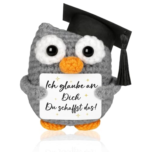 ZXJLWR Alta 8,5 cm, regalo motivazionale, portafortuna, regalo di buona fortuna, gufo peluche, regalo per la scuola, regalo