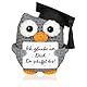 ZXJLWR 8.5 cm Hoch Motivationsgeschenke, Glücksbringer Prüfung, Viel Glück Geschenke, Eule Kuscheltier, Ich Bin Stolz Auf Dich Geschenk, Weiterführende Schule Geschenk