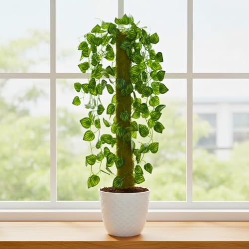 Image of fancymart Artificial Green Leaf Hanging Creeper on Moss Stick (Without Pot) - 60 cm Tall Hanging Creeper Plant for Indoor Home, Office, Restaurant & Cafe Decoration