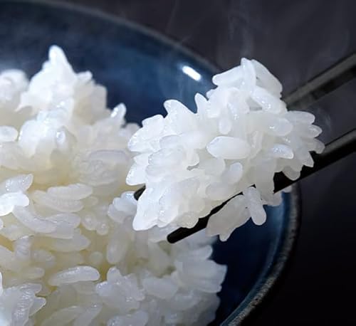 東芝 炎匠炊き 炊飯器 5.5合 RC-10HGX(W)