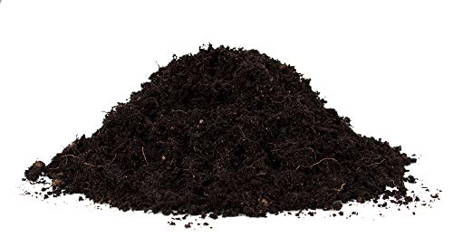 Floragard Bio-Erde Aromatisch 1x40 Liter - für Anzucht und Aussaat sowie für Kräuter - torffrei und vegan