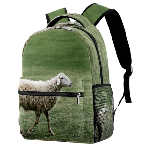 Sac à dos d'école et de voyage décontracté pour filles garçons et femmes