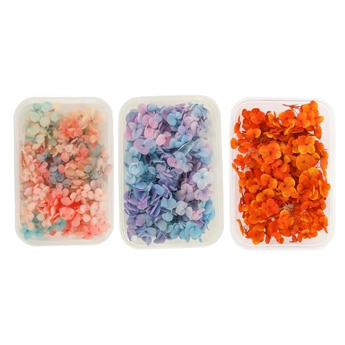 Set de 3 cajas de flores secas en degradado para manualidades miniatura 1