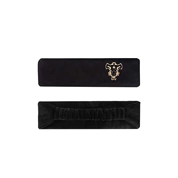 Featured image of post The Best 10 Asta Headband Logo