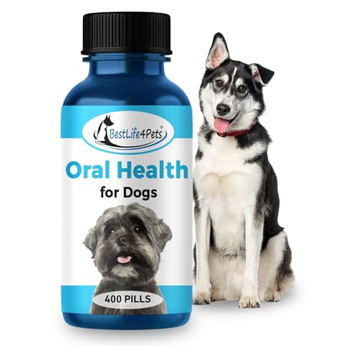 10 Best Natural Anti Inflammatory For Cats Of 2023 Glory Cycles