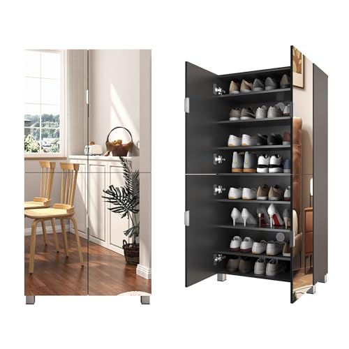 ponytrott Mirror Shoe Cabinet