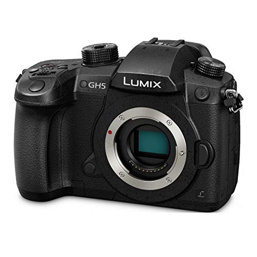 Panasonic GH6 camera