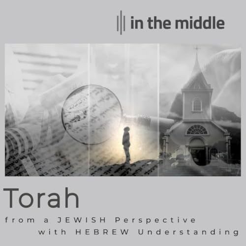 in the middle cover art