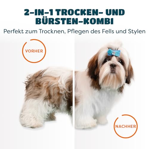 KUUBIA Hundeföhn | 2-in-1 Haartrockner mit Bürste | Hundefön für kleine und mittelgroße Hunde & Katzen | 300W Blower, tragbar, relativ leise, einstellbare Temperatur, Edelstahl-Zupfbürste