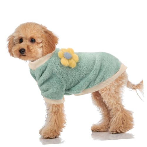 Vêtement pour chien veste imperméable contre le vent froid - 8