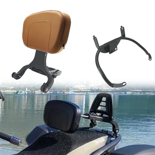 Dossier Vespa GTS 300 conducteur et passager avec porte-bagages pliable