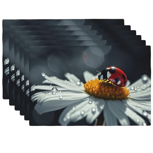 Set de table en lin synthétique de qualité supérieure lavable x6 - 2