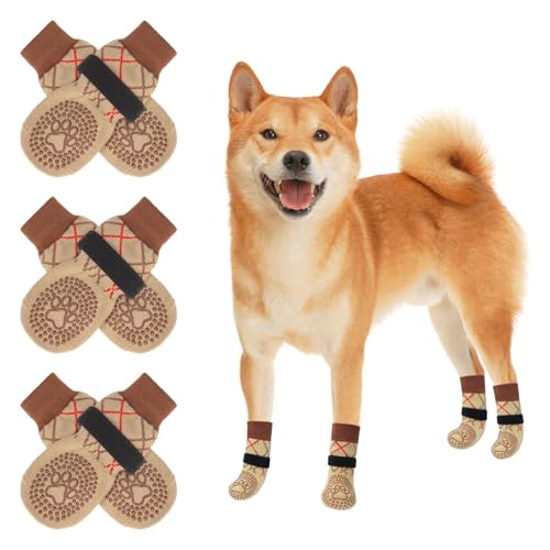 BEAUTYZOO  C ~ rߖh~ ی 6Zbg n[hEbhp hhM ]|h~ ^ ^ ^ VjAp Eɂ ی ʋC  