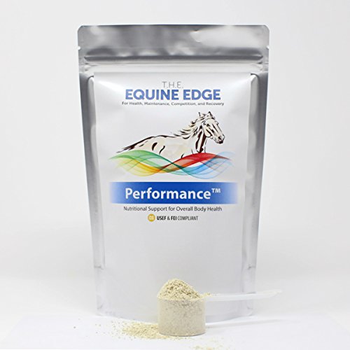 Performance - Everyday Multi-Vitamin Supplement, 80 Servings