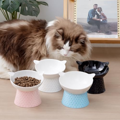 Image of Ceramic Raised Cat Bowl with Stand and Bow Tie, Tilted Elevated Anti-Vomit Cat Dish for Whisker Relief, Microwave & Dishwasher Safe, Cute Pet Food Bowl for Cats and Small Dogs