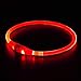 BSeen LED Dog Collar, USB Rechargeable, Glowing Pet Dog Collar for Night Safety, Fashion Light up Collar for Small Medium Large Dog (Ruby Red)
