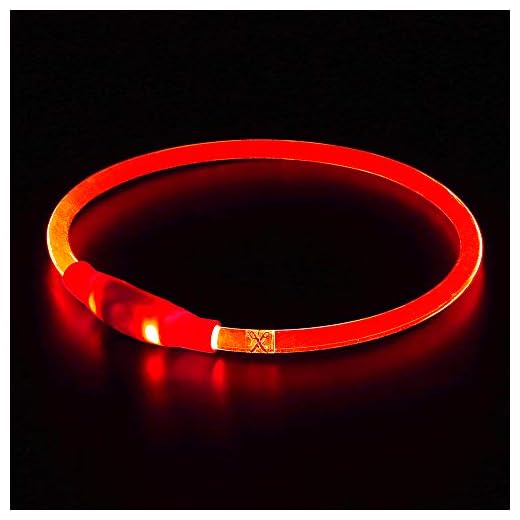 BSeen LED Dog Collar, USB Rechargeable, Glowing Pet Dog Collar for Night Safety, Fashion Light up Collar for Small Medium Large Dog (Ruby Red)