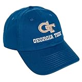 Desert Cactus Georgia Tech University Baseball Hat Yellow Jackets GT Institute of Technology Brimmed Embroidered Hats Cap Adjustable Cloth Strap Adult (Style B1)
