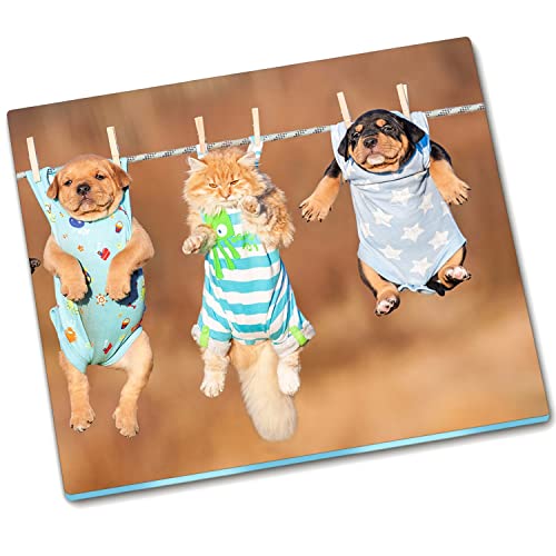Planche de protection de poêle protégeant des éclaboussures et rayures - 2