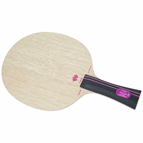 Best Allround Table Tennis Blades 10Reviewz