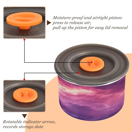 Contenedor de café al vacío Qilmy Galaxy de acero inoxidable 30oz miniatura 4