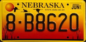 Nebraska www.state.ne.us License Plate black numbers on yellow orange with migrating ducks