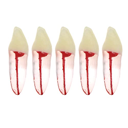Debksgeoti DETESI-20230331-M8007 5Pcs Dental Root Canal Pulp Cavity Teeth Model Endodontic Practice Rct Typodont M8007 11# 14# 16# 21# 33# 34# 35# 36# 44# 45# Practicing Study Teach cover