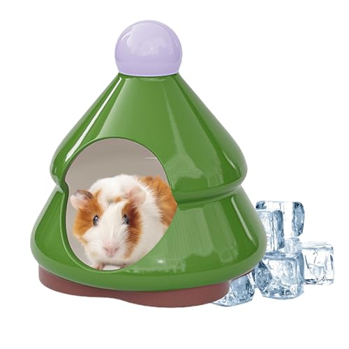 Hamster nain plateforme céramique imperméable anti-odeur pour écureuil et hérisson - 2