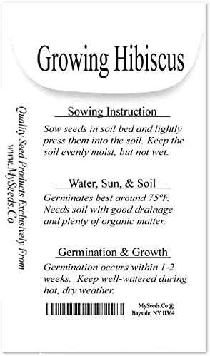 Miniatura 3 de Big Pack - Semillas de rosa de Sharon, Hibiscus syriacus, semillas sin OMG (Rose of Sharon (1000 semillas))