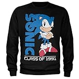 Sonic The Hedgehog