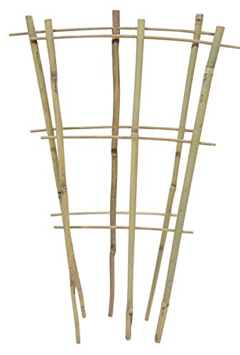 Natural Color Bamboo Trellis 18 inches Tall - Quantity 2