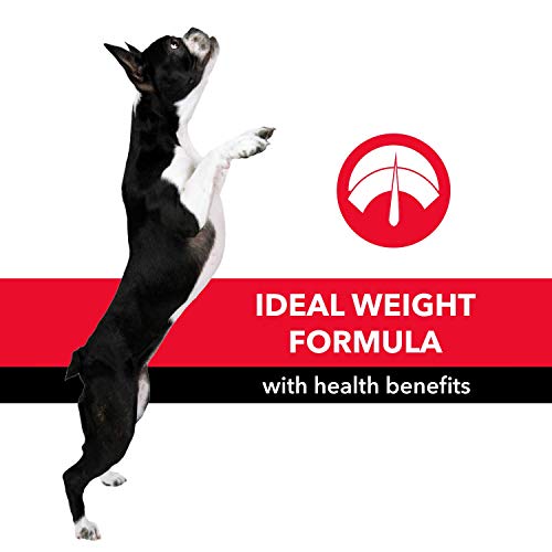 Purepet-Meat-and-Rice-Dry-Dog-Adult-10kg